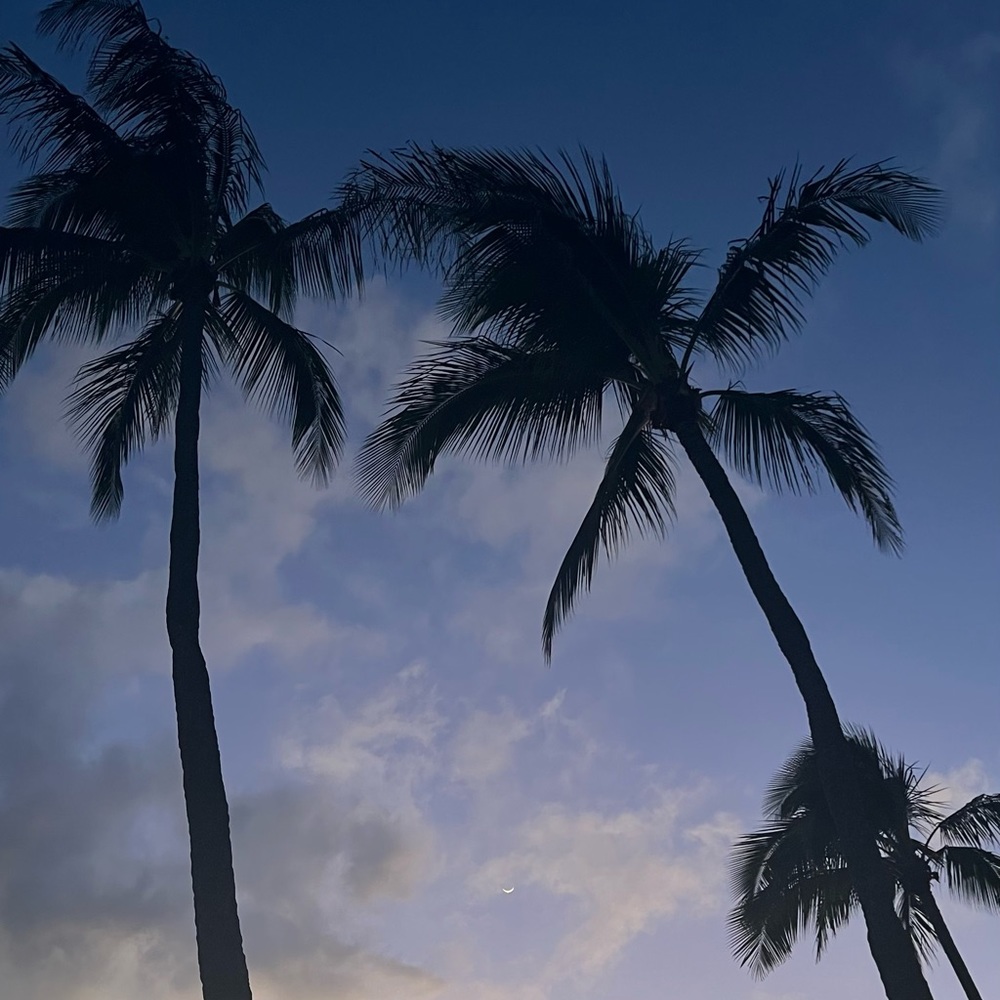 Meet your Posher, Gracie